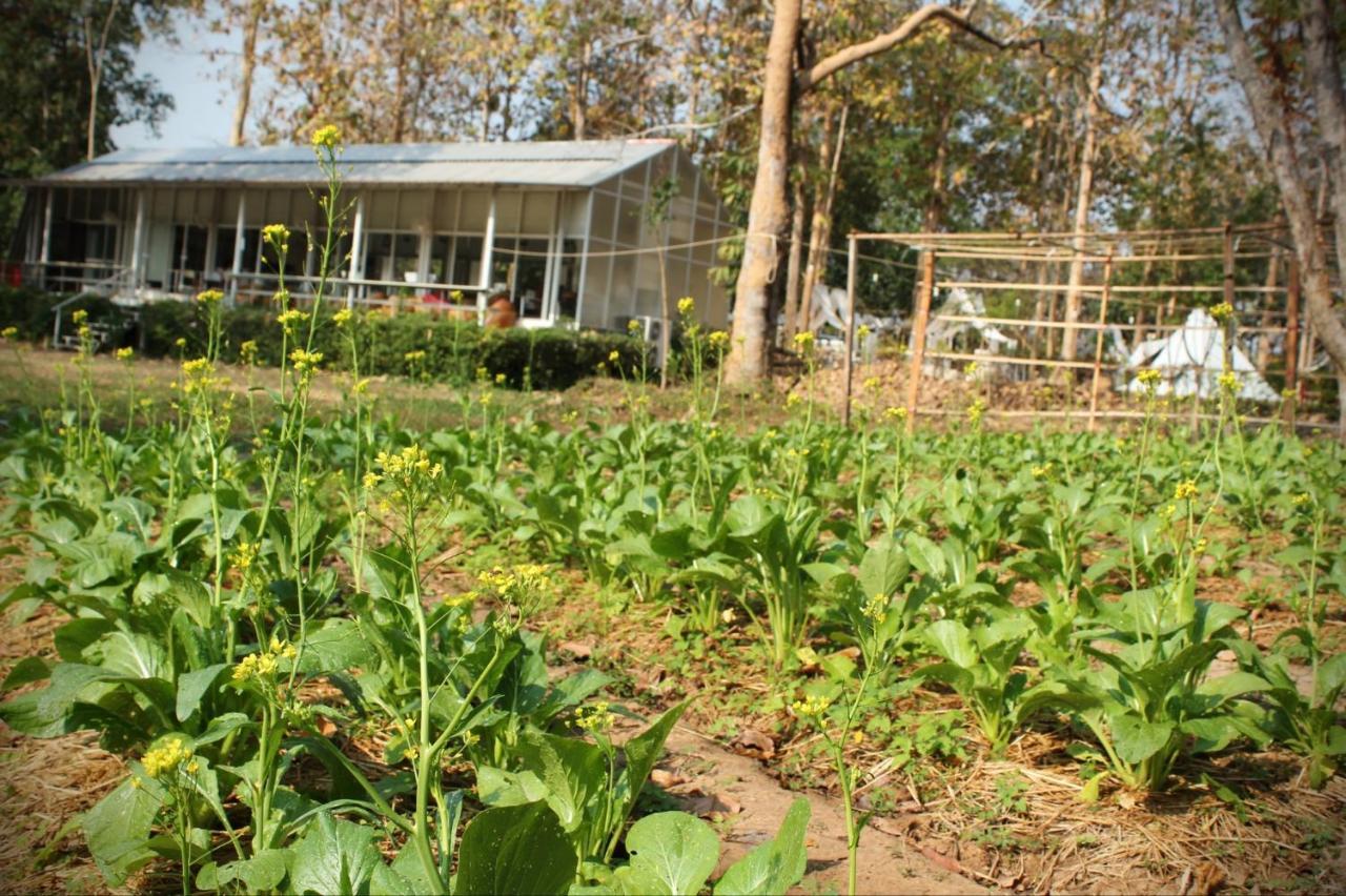 Sappraiwan Elephant Resort & Sanctuary Kaengsopha Exterior foto