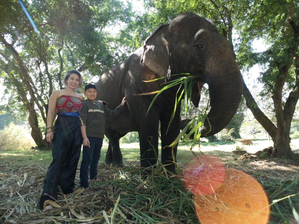 Sappraiwan Elephant Resort & Sanctuary Kaengsopha Exterior foto